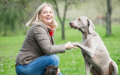 Setkání s Petrou Zelmer